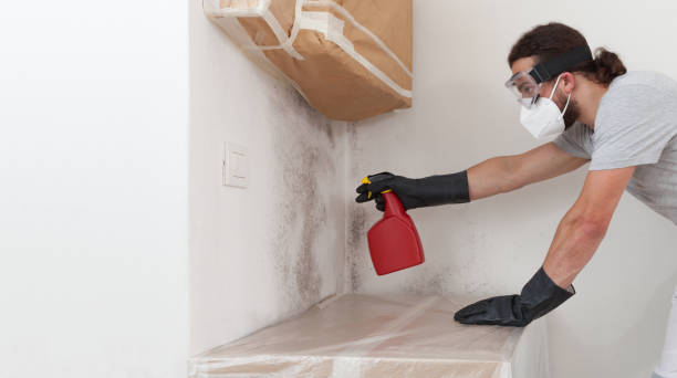 Professional Mold Remediation technician working in Clinton, IL