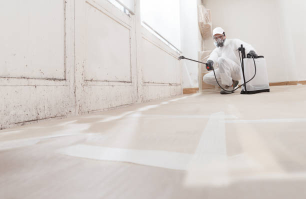 24/7 Emergency Mold Remediation experts in Clinton, IL